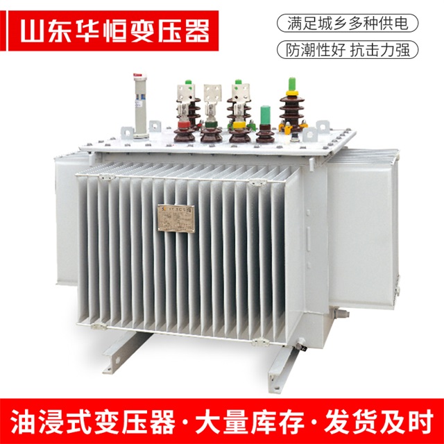S13-10000/35麻章麻章麻章电力变压器
